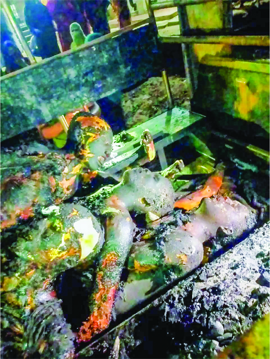 Image of বায়েজিদ বোস্তামী